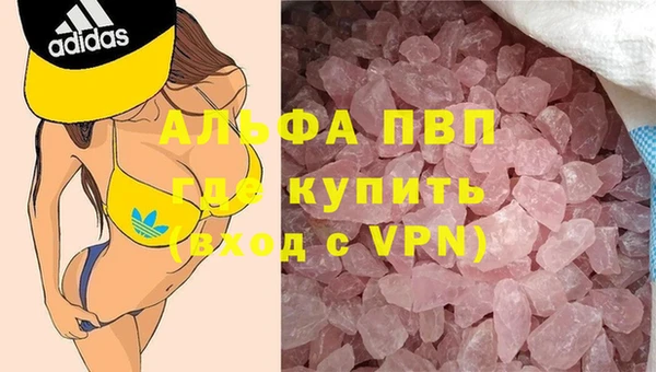 Альфа ПВП Горно-Алтайск