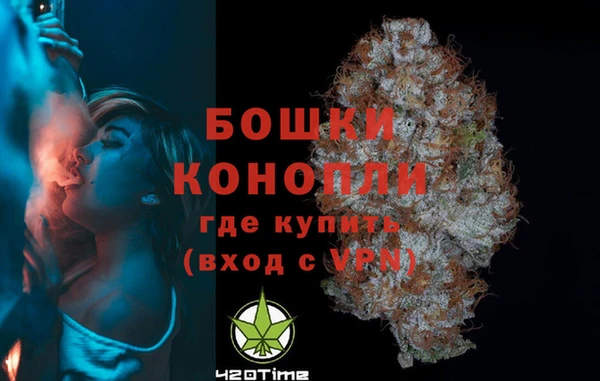 Альфа ПВП Горно-Алтайск