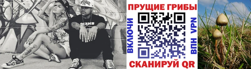 Псилоцибиновые грибы мицелий  блэк спрут ССЫЛКА  Моздок 